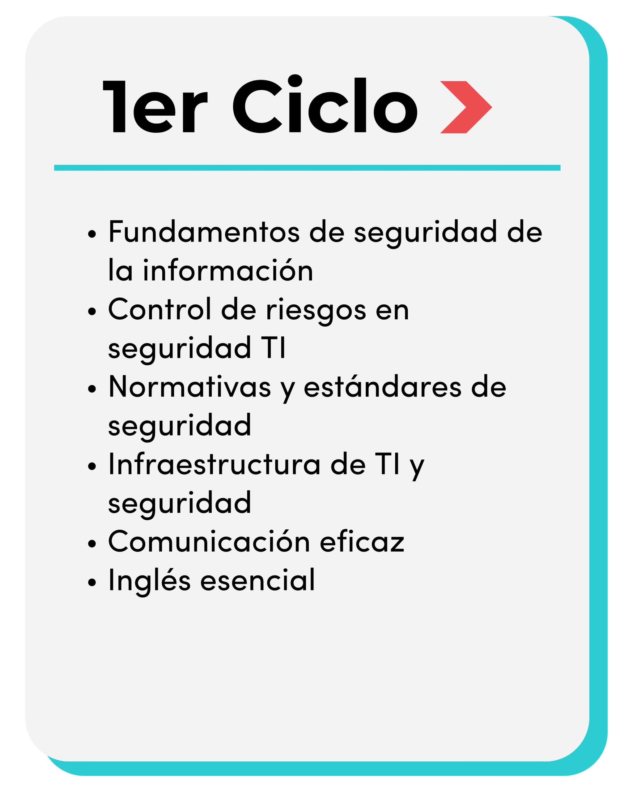 Malla Ciberseguridad